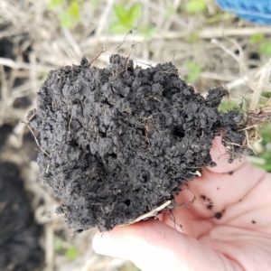 Soil Structure