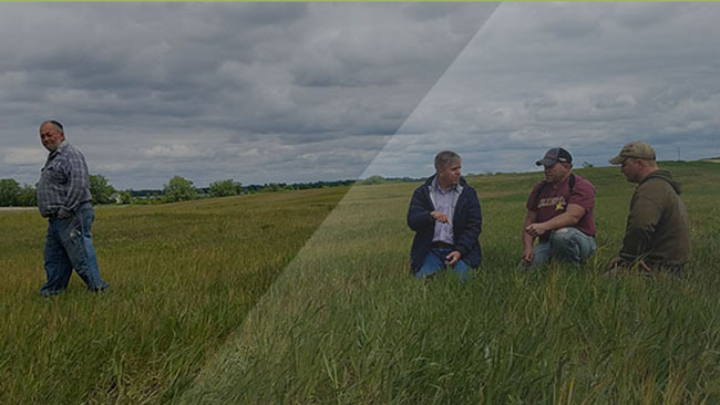 Minnesota Soil Health members