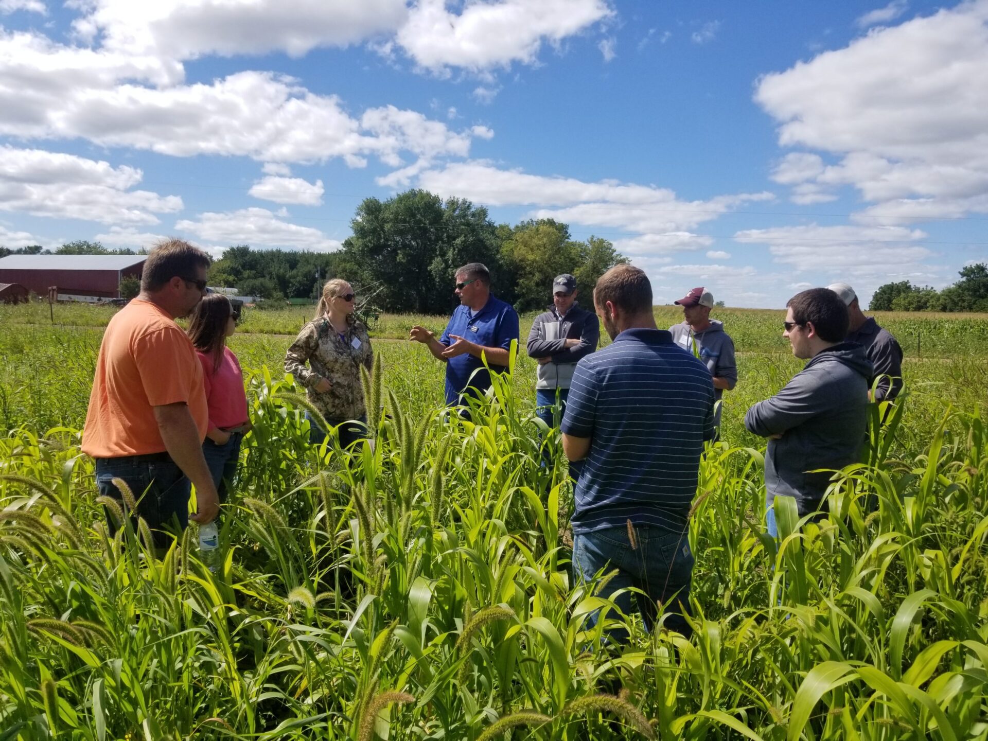 Logistics Of Cover Crops