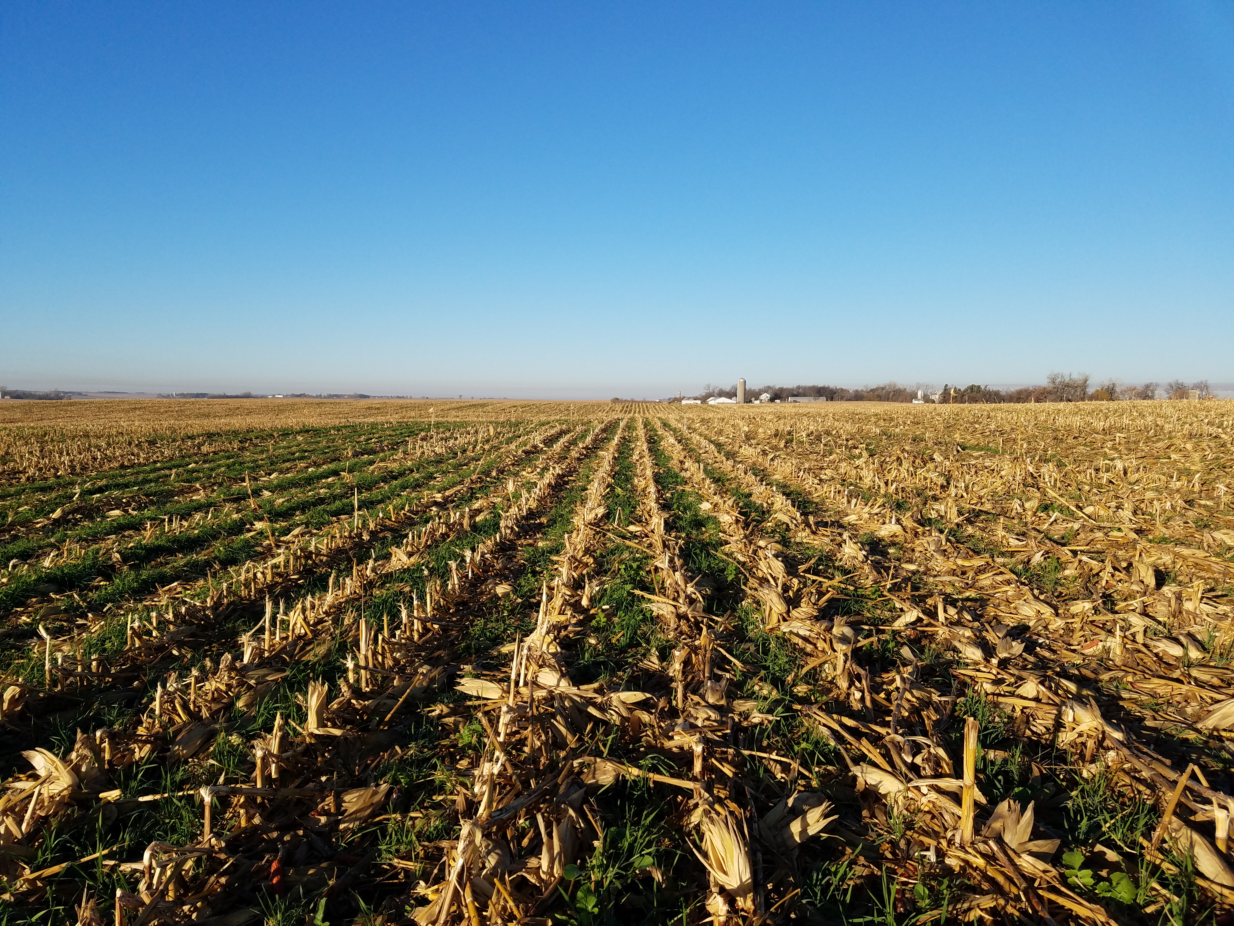Technical Information for Soil Health