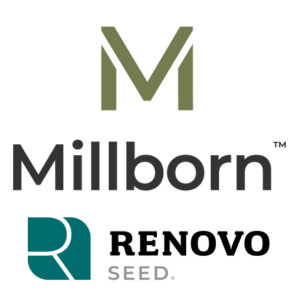 Millborn - Renovo Seed Millborn - Renovo Seed
