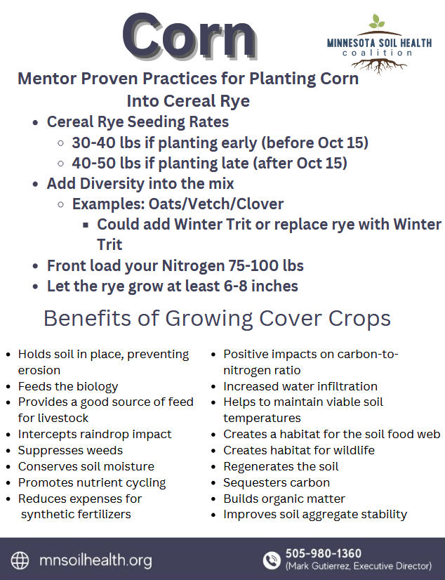 Corn Factsheet_Planting Corn Green_image Corn Factsheet_Planting Corn Green_image