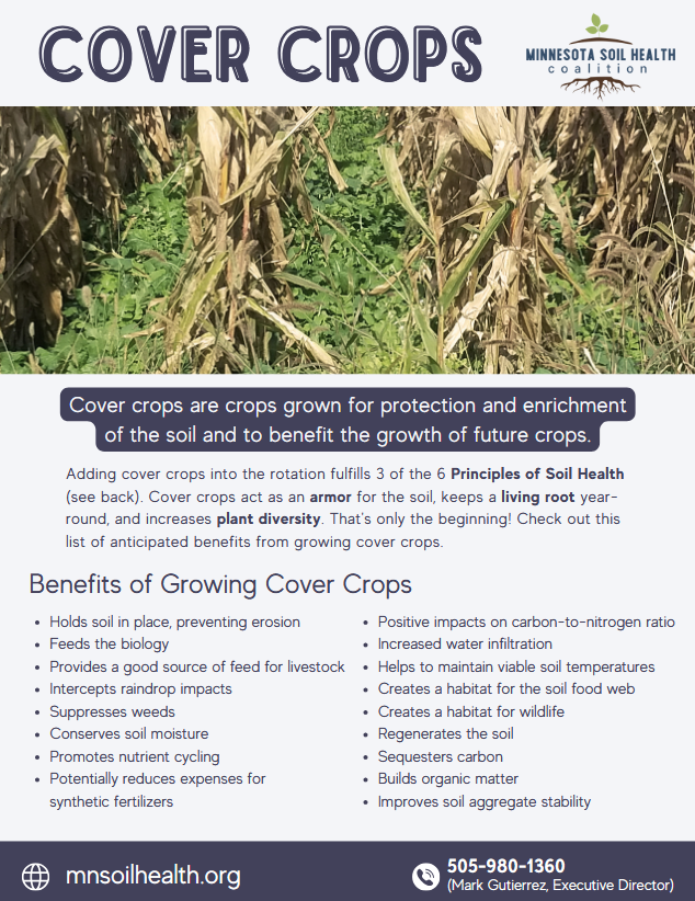 MSHC-Cover-Crop-Flyer_image