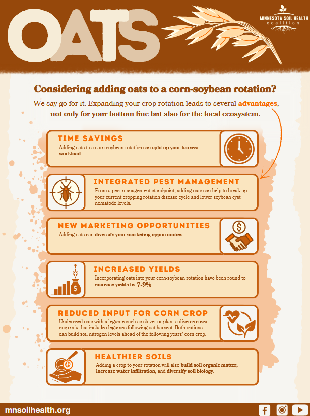 Oats Factsheet_image Oats Factsheet_image
